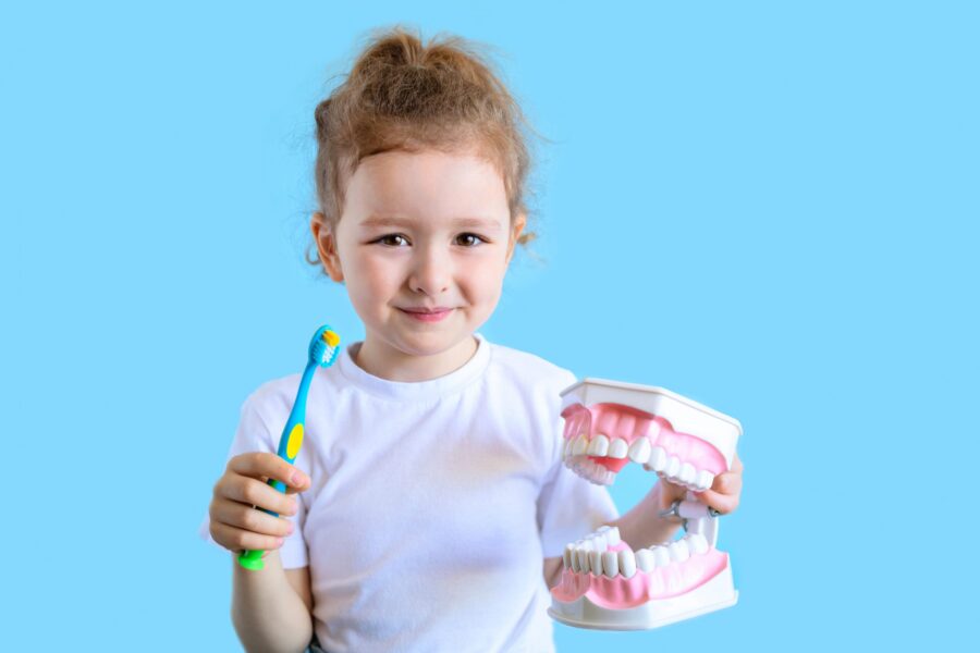 Pediatric Dentist Renton